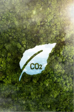 Attevia is Eco Friendly