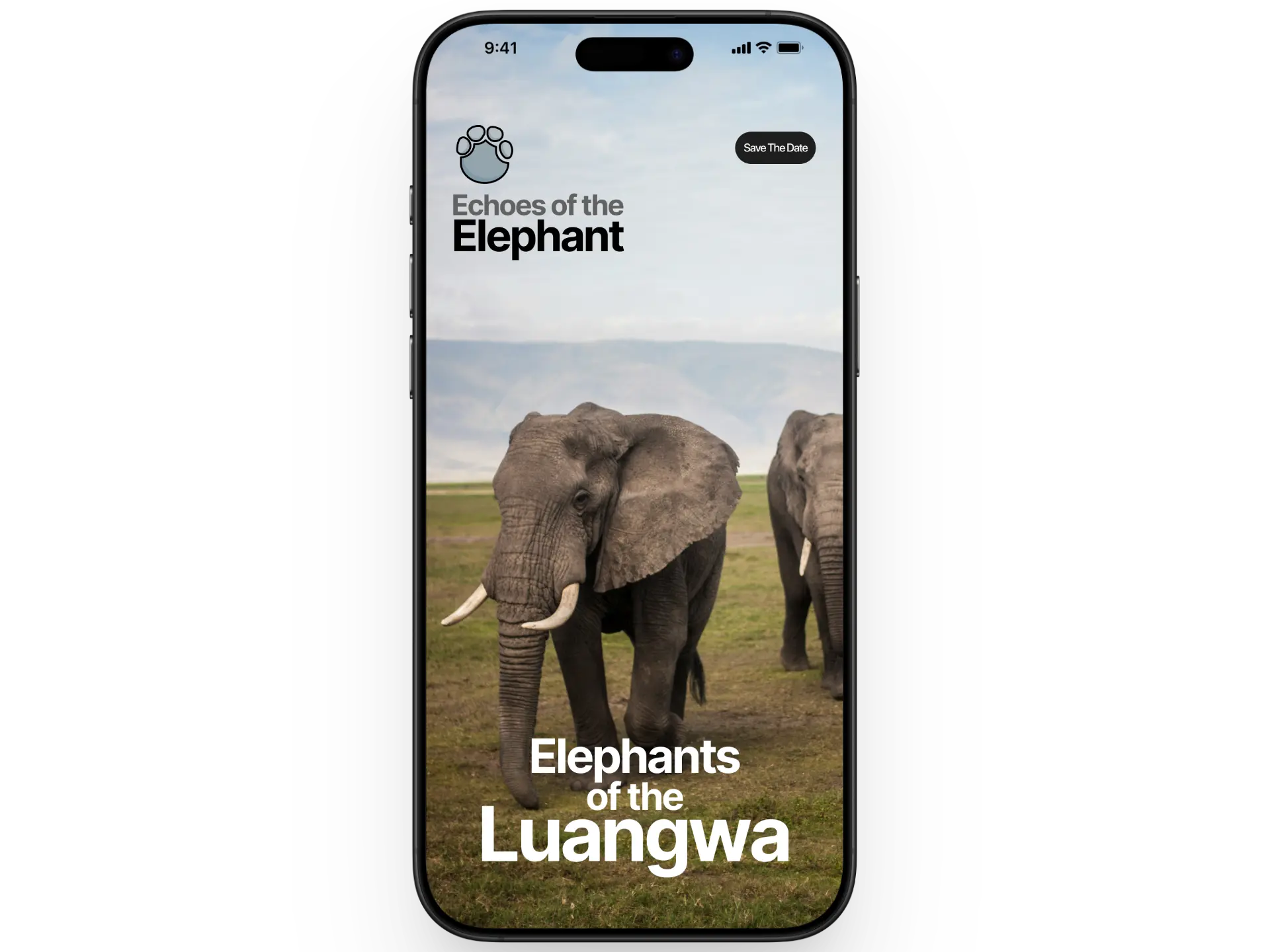 A stunning design of an Attevia Webpage